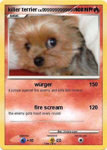 Pokemon killer terrier