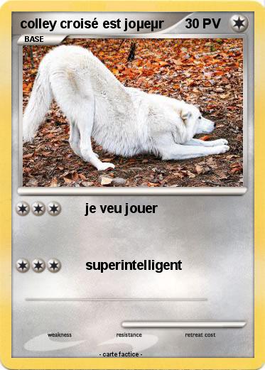 Pokemon colley croisé est joµeµr