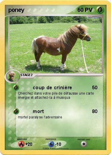 Pokemon poney 