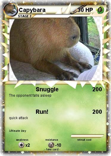 Pokemon Capybara