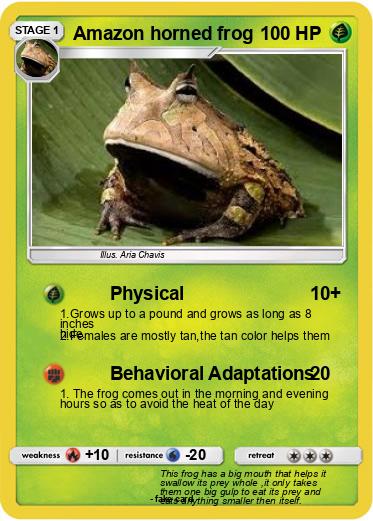 Pokemon Amazon horned frog