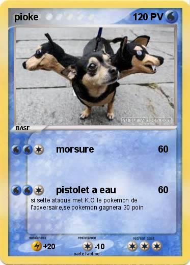 Pokemon pioke
