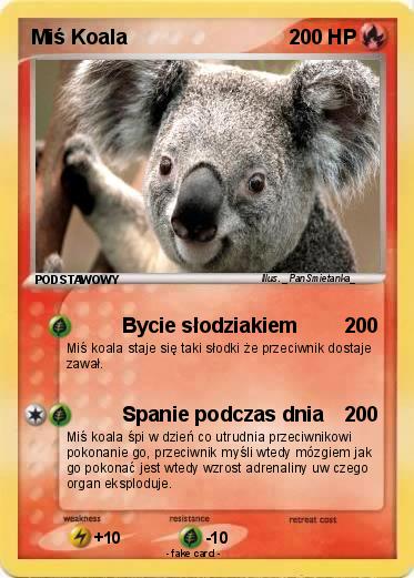 Pokemon Miś Koala