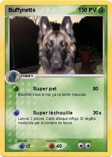 Pokemon Buffynette