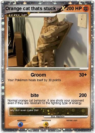 Pokemon Orange cat thats stuck