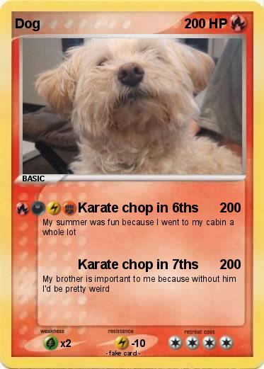 Pokemon Dog