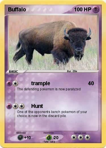 Pokemon Buffalo