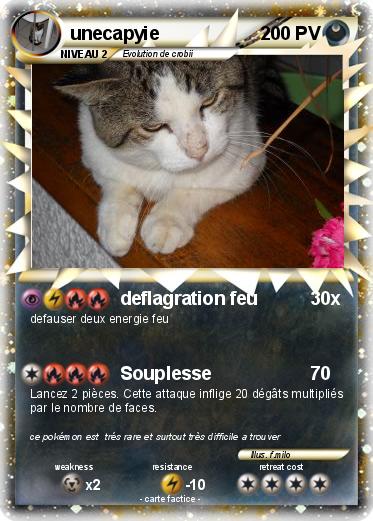Pokemon unecapyie
