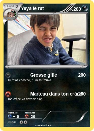 Pokemon Yaya le rat