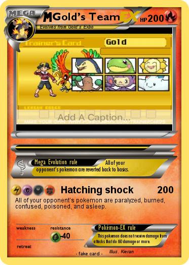 Pokemon Gold’s Team