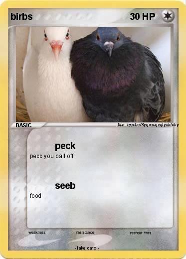 Pokemon birbs