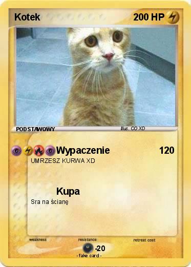 Pokemon Kotek