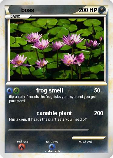 Pokemon boss