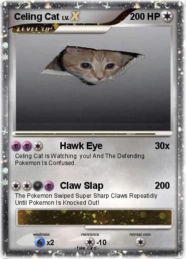 Pokemon Celing Cat