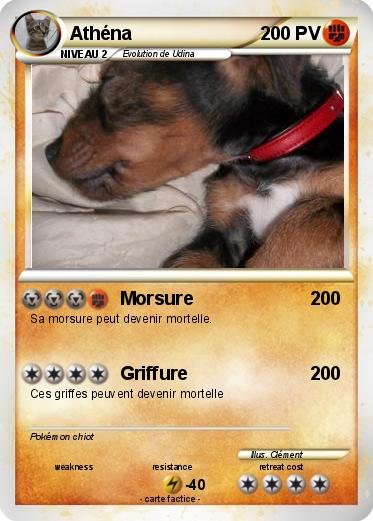 Pokemon Athéna