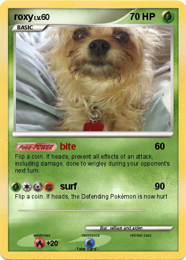 Pokemon roxy