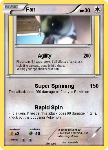 Pokemon Fan