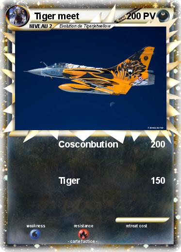 Pokemon Tiger meet