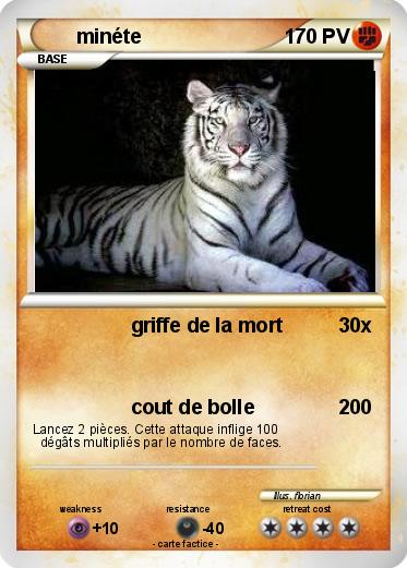 Pokemon minéte