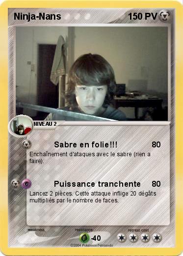 Pokemon Ninja-Nans