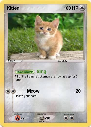 Pokemon Kitten