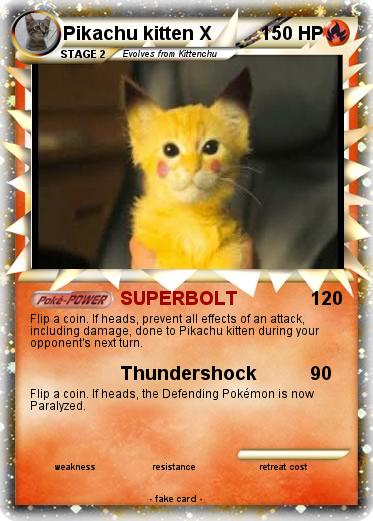 Pokemon Pikachu kitten X