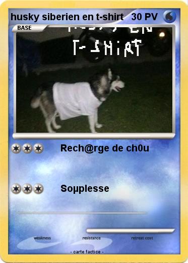 Pokemon husky siberien en t-shirt