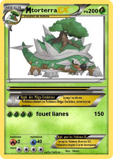 Pokemon torterra