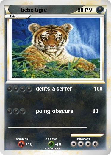 Pokemon bebe tigre