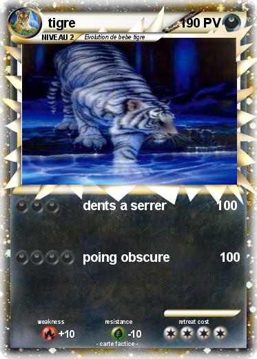 Pokemon tigre