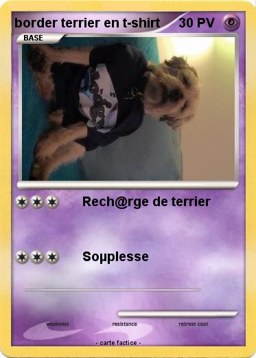 Pokemon border terrier en t-shirt