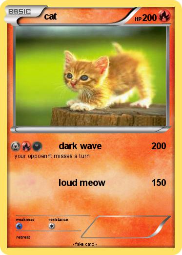 Pokemon cat