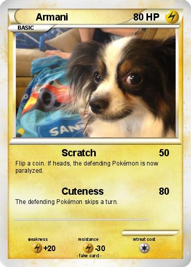 Pokemon Armani