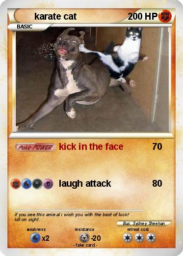 Pokemon karate cat