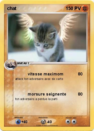 Pokemon chat