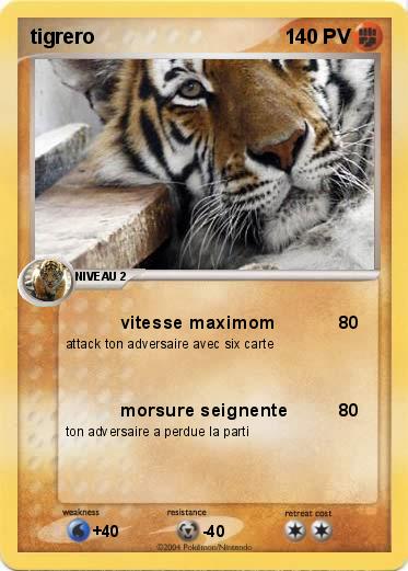 Pokemon tigrero