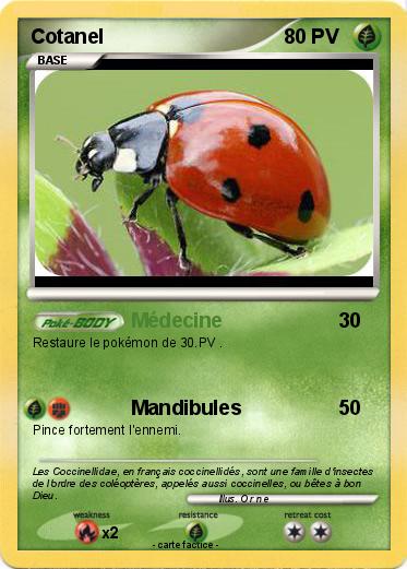 Pokemon Cotanel