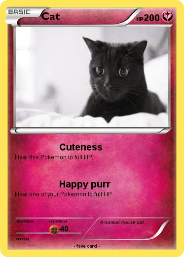 Pokemon Cat
