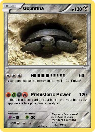 Pokemon Gophriha