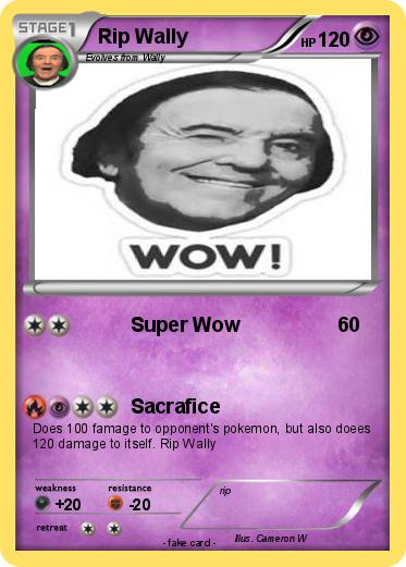 Pokemon Rip Wally