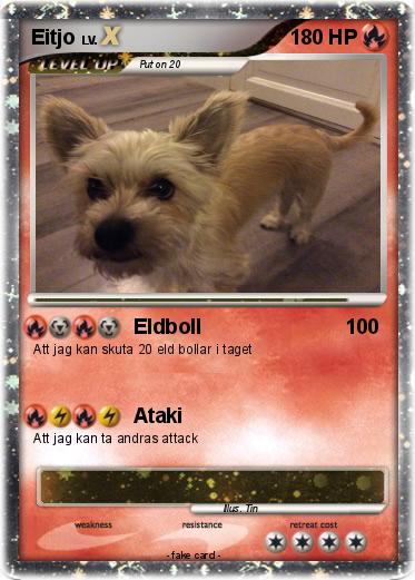 Pokemon Eitjo
