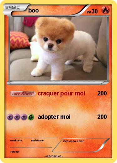 Pokemon boo