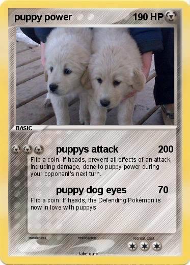 Pokemon puppy power