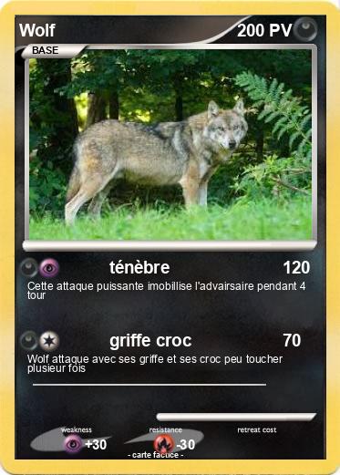 Pokemon Wolf