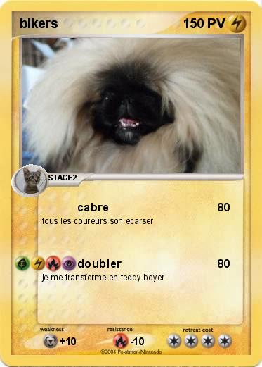 Pokemon bikers