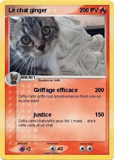Pokemon Lé chat ginger