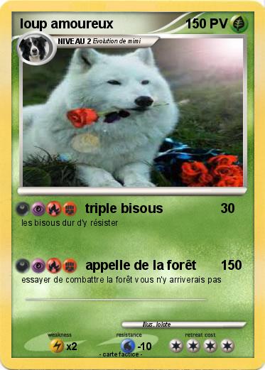 Pokemon loup amoureux