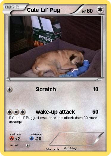 Pokemon Cute Lil' Pug