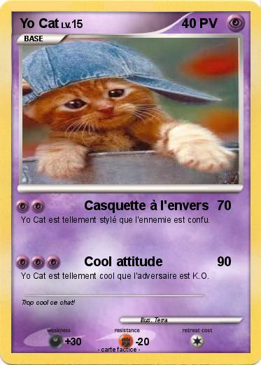 Pokemon Yo Cat