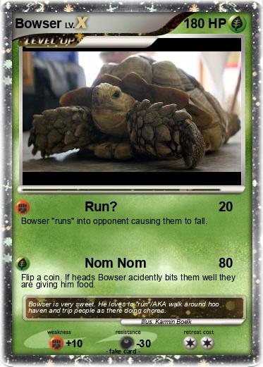 Pokemon Bowser